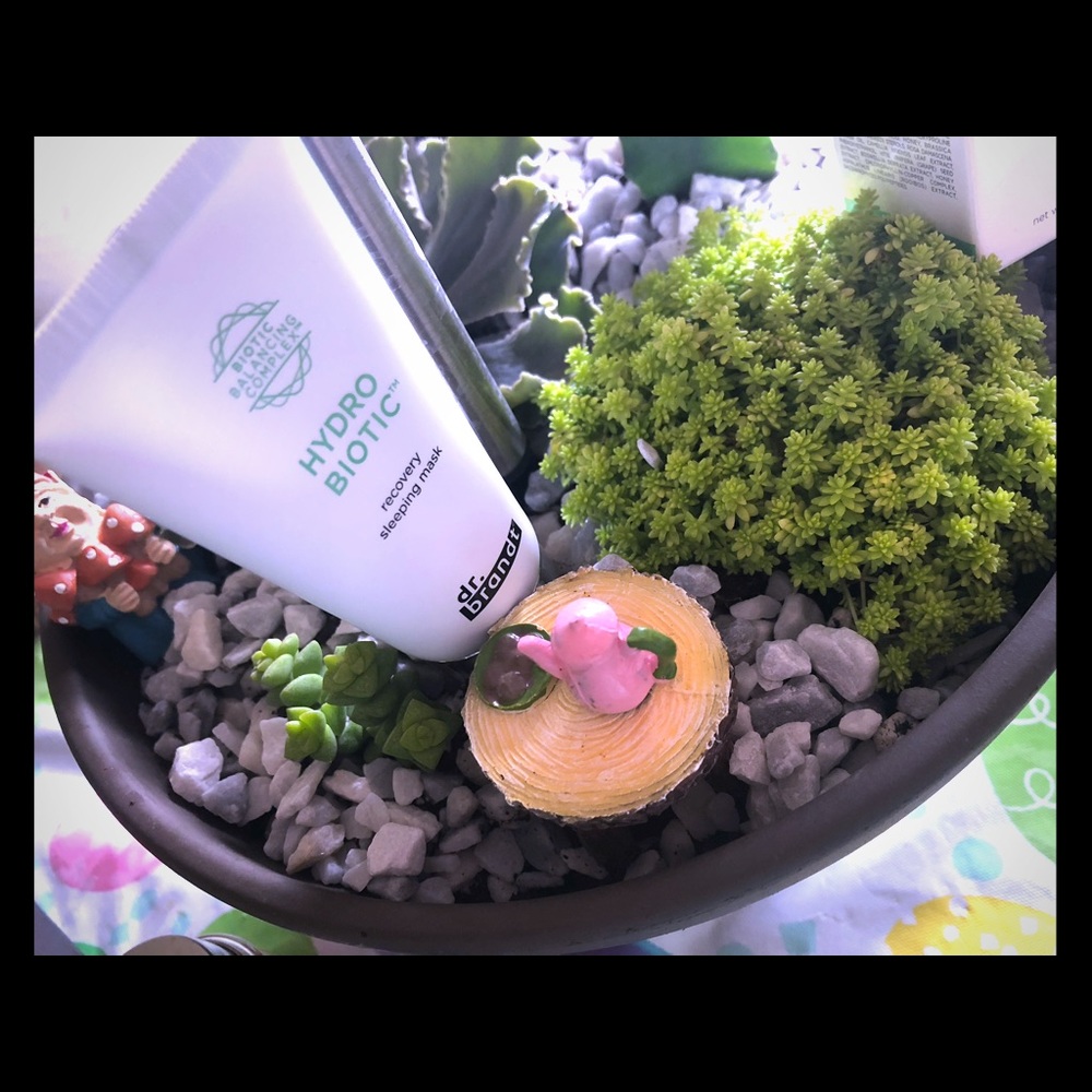 Dr. Brandt hydro biotic overnight mask